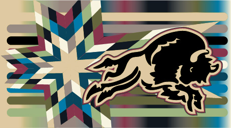 SKC Official Colors in Star Quilt Patter and Charging Bison Logo