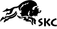 Charging Bison in Non-Institutional Layout