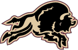 Outlined Bison Logo
